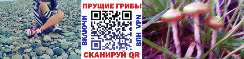 Галлюциногенные грибы мицелий  Купить где  Узловая 